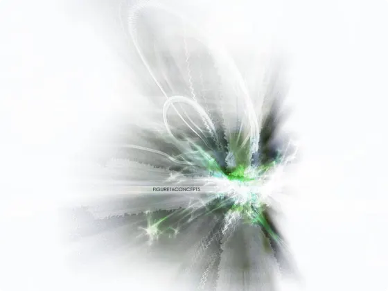 2006  ·  05